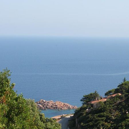 Sardinia Sea Vacation Villa Costa Paradiso Kamer foto